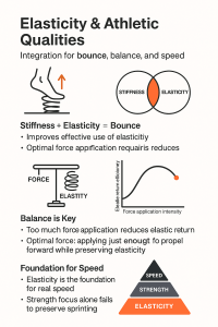 Infographic titled "Elasticity & Athletic Qualities" explaining that combining stiffness and elasticity produces bounce, illustrated with a foot on a spring, a Venn diagram highlighting the overlap of stiffness and elasticity, a force-versus-elasticity balance scale and return curve, bullet-point notes about optimal force and balance, and a pyramid showing elasticity as the foundation below strength and speed.