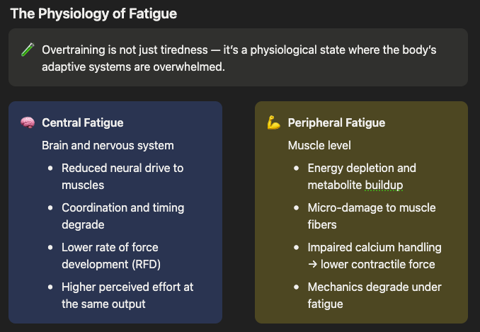 Infographic titled 'The Physiology of Fatigue' with a top note that overtraining overwhelms adaptive systems and two panels: a blue 'Central Fatigue' panel listing neural effects (reduced neural drive to muscles, degraded coordination and timing, lower rate of force development, higher perceived effort) and a brown 'Peripheral Fatigue' panel listing muscle-level effects (energy depletion and metabolite buildup, micro-damage to muscle fibers, impaired calcium handling reducing contractile force, and degraded mechanics).