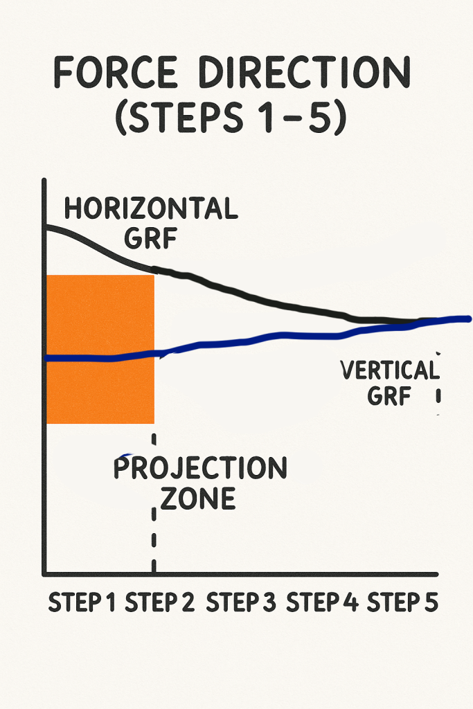Stylized chart titled "Force Direction (Steps 1–5)" with a downward-trending black line labeled Horizontal GRF, a slowly rising blue line labeled Vertical GRF, and an orange block plus dashed vertical line marking a Projection Zone around steps 1–2 on the horizontal axis labeled Step 1 to Step 5.