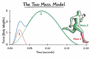 Graph showing an early red force peak (Mass 1) and a larger delayed green peak (Mass 2) labeled The Two Mass Model with a running figure