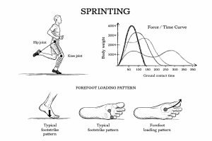 Sprinting diagram: runner with hip and knee marked, force–time curves, and three forefoot loading/footstrike sketches.