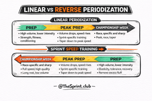 Infographic comparing linear vs reverse periodization for sprint training, with timelines Prep→Peak→Champ vs Champ→Peak→Prep.