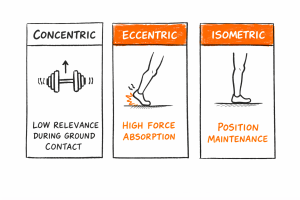 Three panels: concentric (dumbbell, low), eccentric (foot strike, high absorption), isometric (foot flat, holds position).