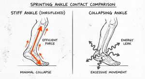 Split sketch comparing a dorsiflexed stiff ankle with straight orange force arrows (efficient force, minimal collapse) and a collapsing ankle with wavy arrows (energy leak, excessive movement).