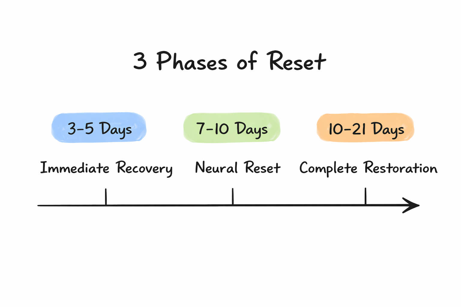 Timeline titled "3 Phases of Reset" showing three colored phases: 3-5 days Immediate Recovery, 7-10 days Neural Reset, 10-21 days Complete Restoration.