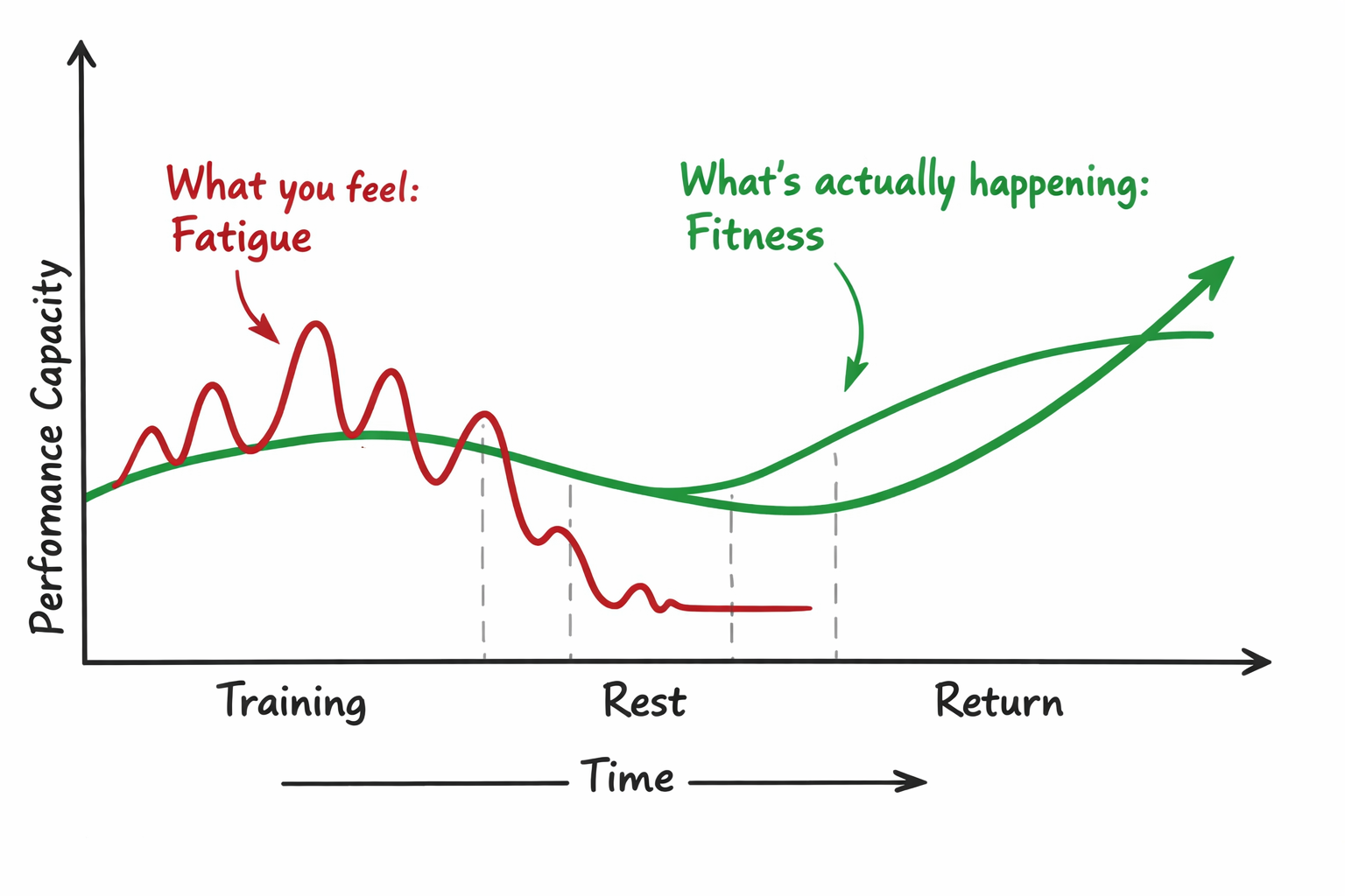 Chart showing red wavy line labeled "What you feel: Fatigue" dipping during rest and a rising green line labeled "What's actually happening: Fitness" over time