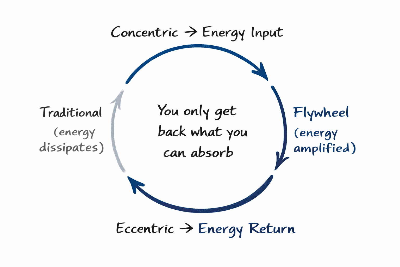 Circular diagram showing an energy flow cycle with arrows labeled "Concentric → Energy Input" at top, "Flywheel (energy amplified)" on right, "Eccentric → Energy Return" at bottom, and "Traditional (energy dissipates)" on left, with center text "You only get back what you can absorb."