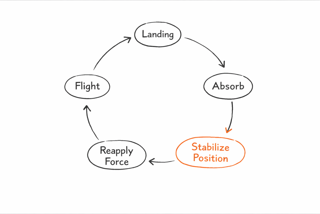 Circular flowchart with five ovals: Landing → Absorb → Stabilize Position (orange) → Reapply Force → Flight, connected by arrows.