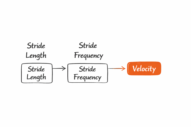 Three-box flow diagram: "Stride Length" arrow to "Stride Frequency" arrow to orange rounded box labeled "Velocity".