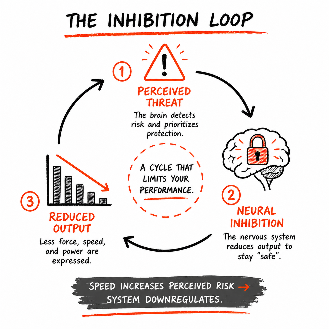 Cycle diagram titled "The Inhibition Loop" showing perceived threat → neural inhibition (brain with padlock) → reduced output (declining bar chart).